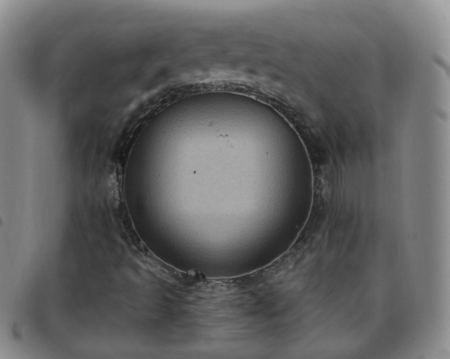X0000097791493200803141818