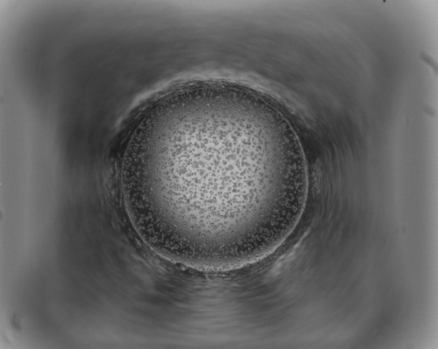 X0000097791494200803141818