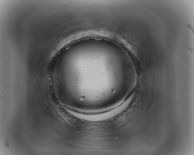 X0000097791496200803141818