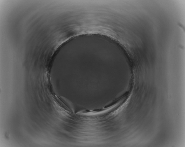 X0000097791497200803141818