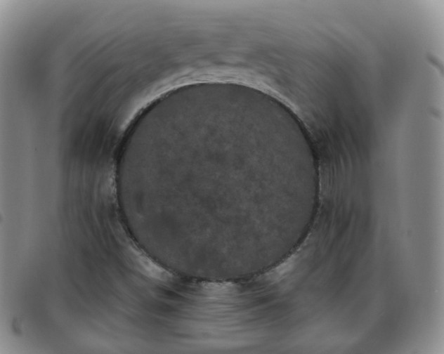 X0000097791498200803141818