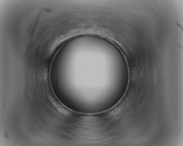 X0000097791499200803141818