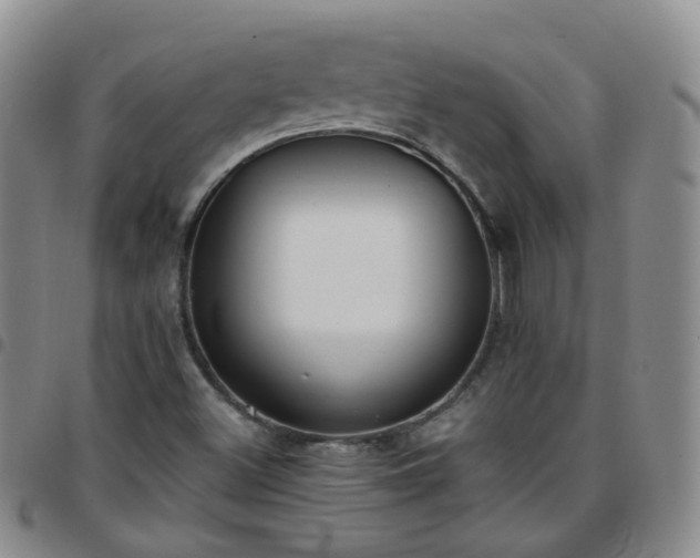 X0000097791500200803141818