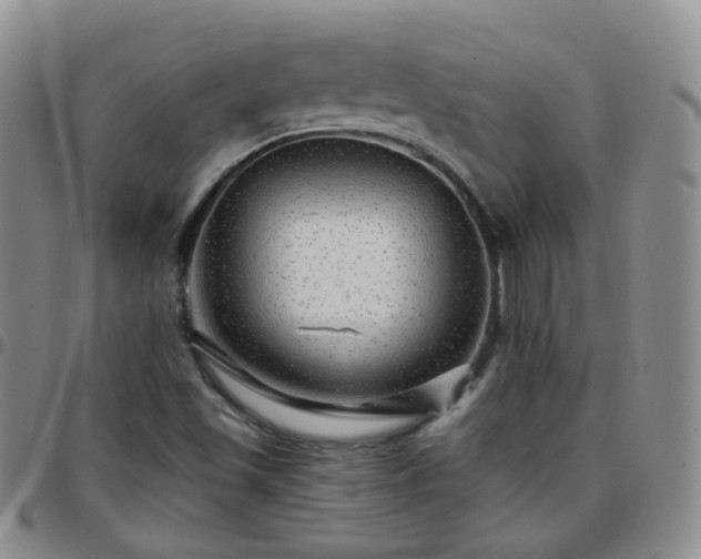 X0000097791501200803141818