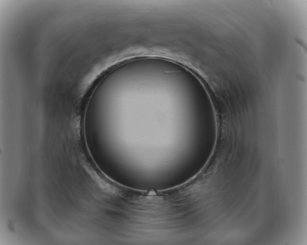 X0000097791503200803141818