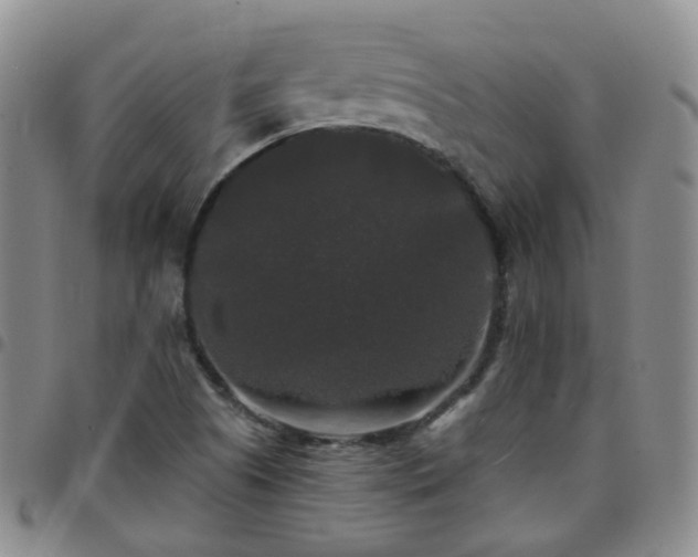X0000097791505200803141818