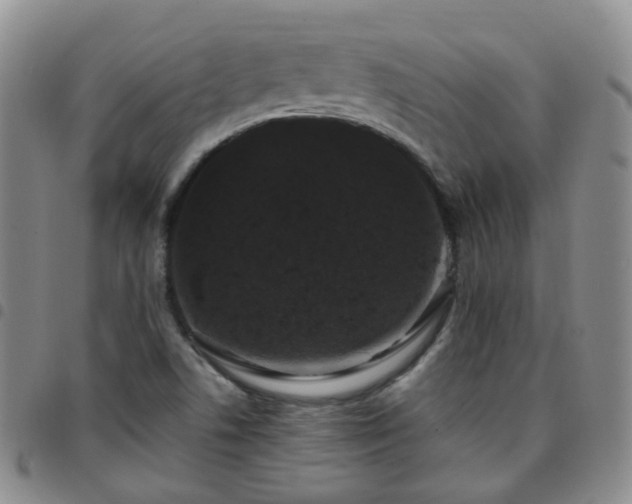 X0000097791506200803141818
