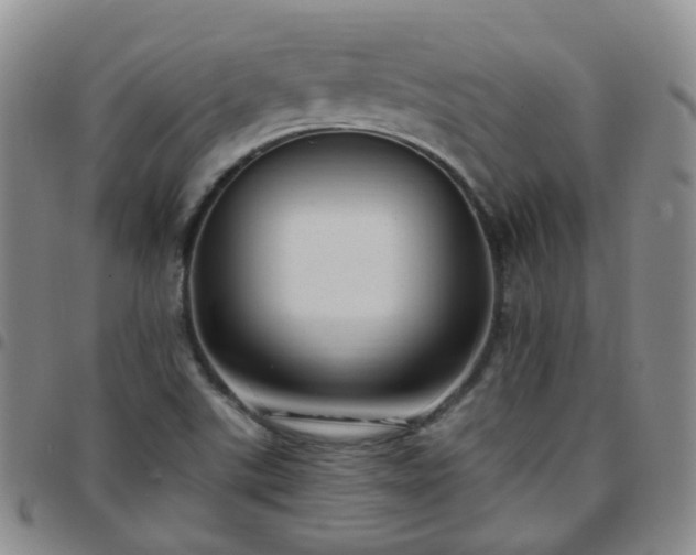 X0000097791507200803141818