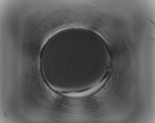 X0000097791508200803141818