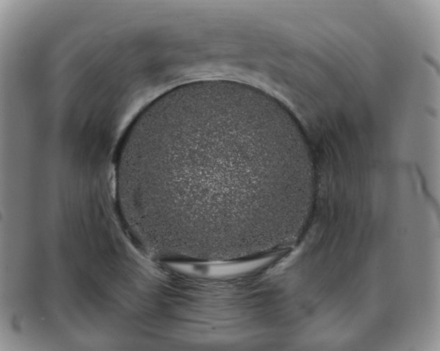 X0000097791509200803141818