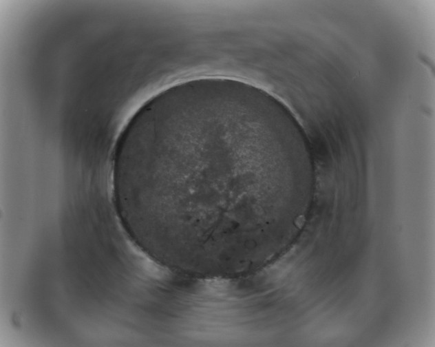 X0000097791511200803141818