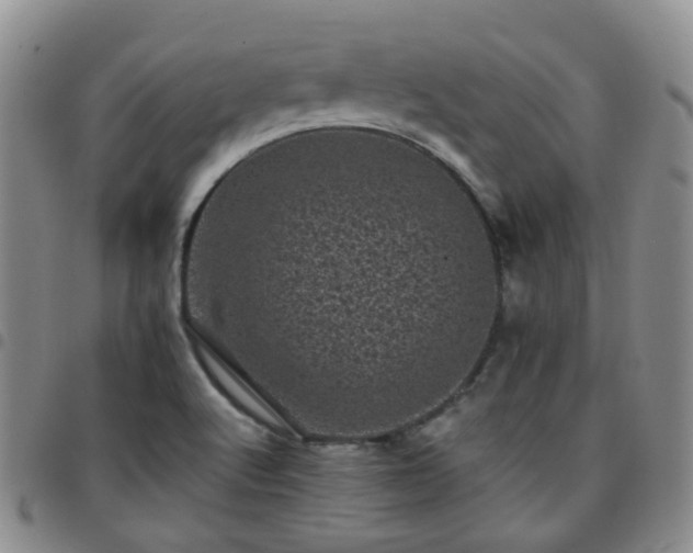 X0000097791512200803141818
