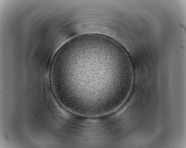 X0000097791513200803141818