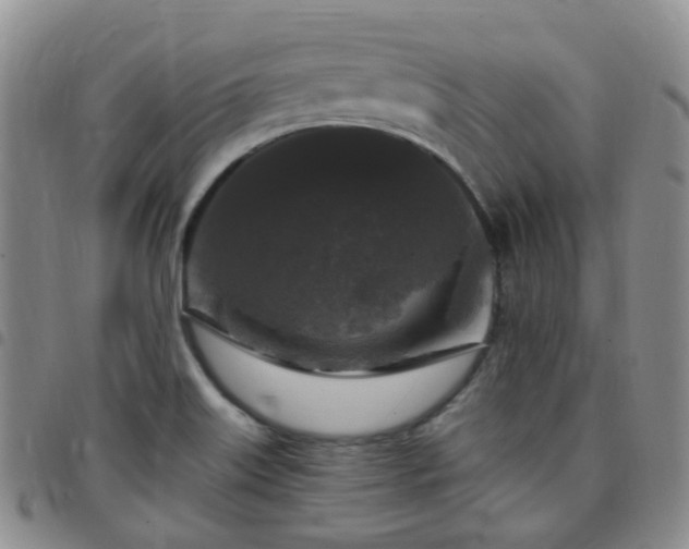X0000097791515200803141818