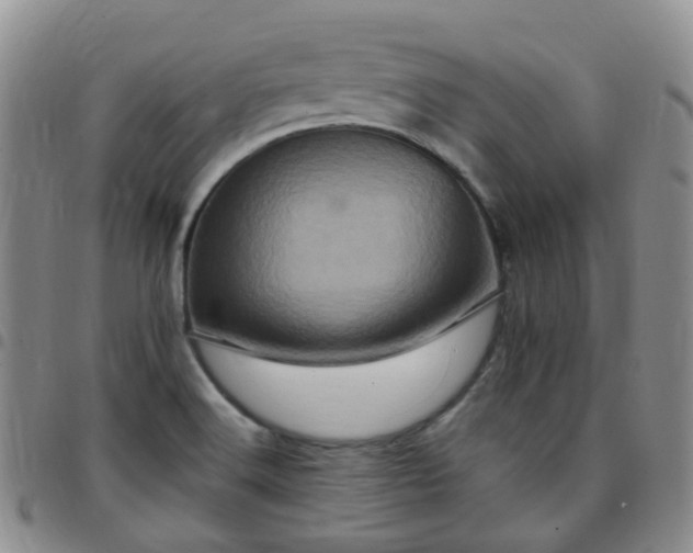 X0000097791516200803141818