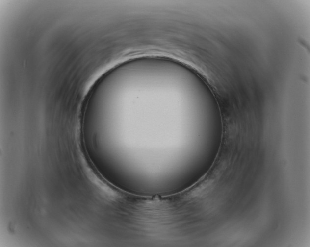 X0000097791518200803141818