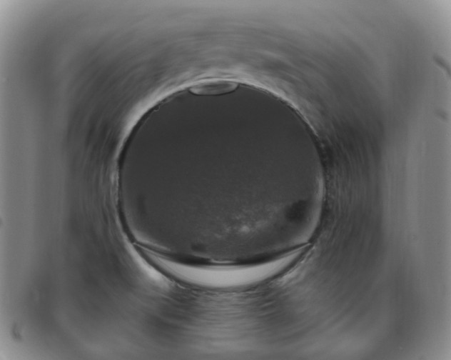 X0000097791519200803141818