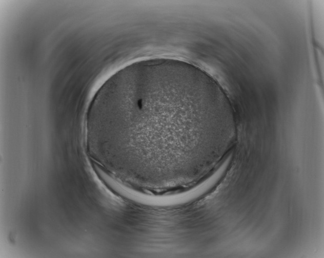 X0000097791520200803141818