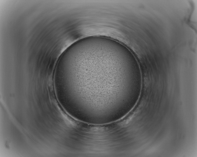 X0000097791521200803141818