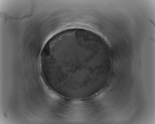 X0000097791522200803141818