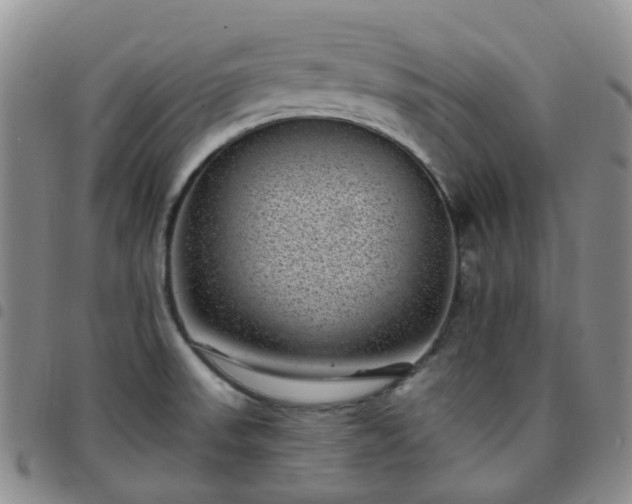 X0000097791523200803141818