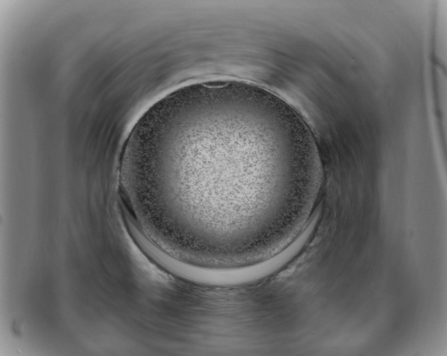 X0000097791524200803141818