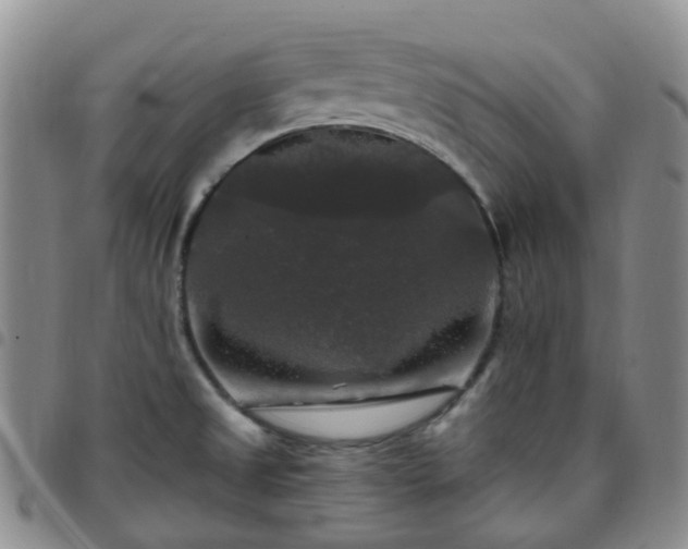 X0000097791525200803141818