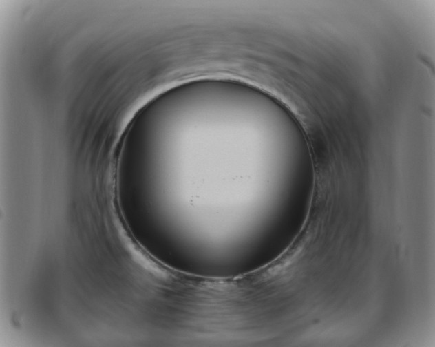 X0000097791526200803141818