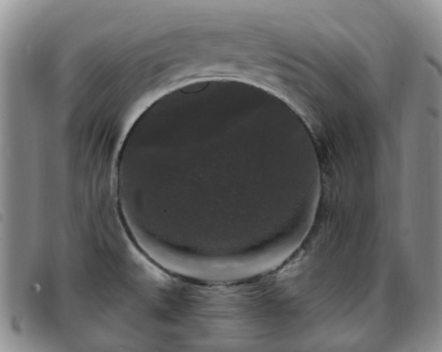 X0000097791527200803141818