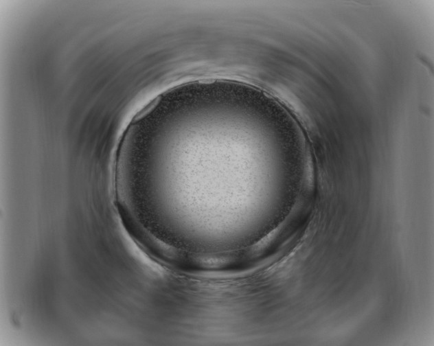 X0000097791528200803141818