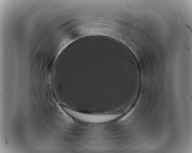 X0000097791529200803141818