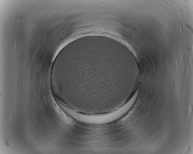 X0000097791530200803141818