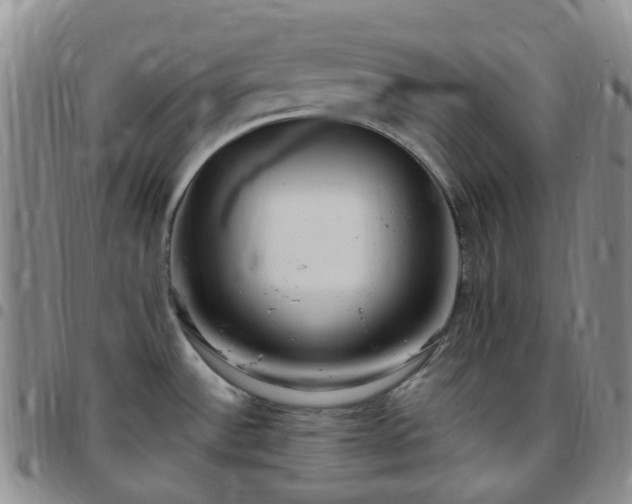 X0000097791532200803141818