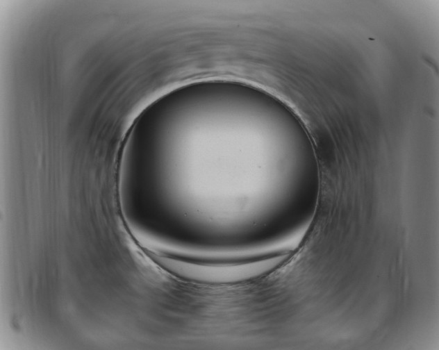 X0000097791534200803141818