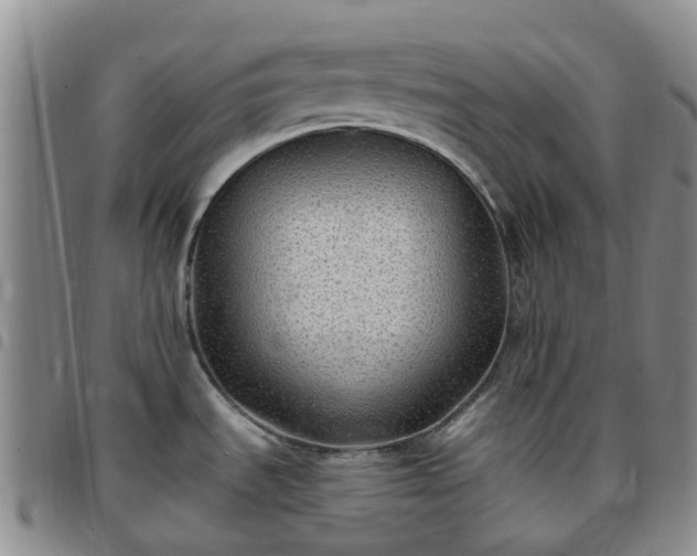 X0000097791535200803141818