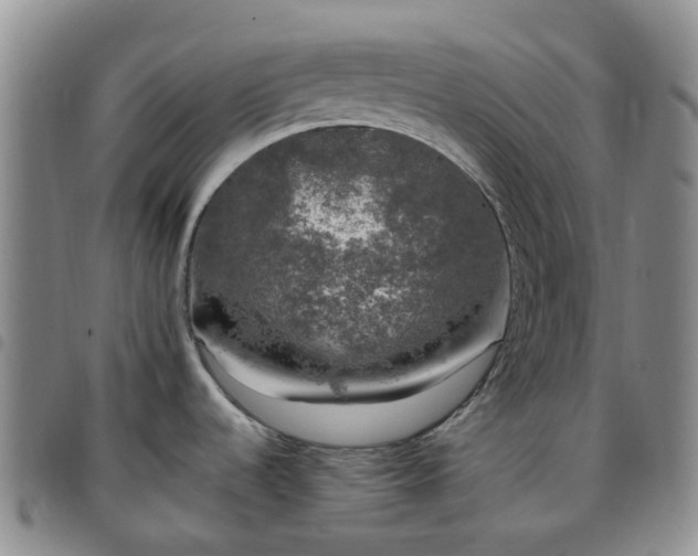 X0000097791536200803141818