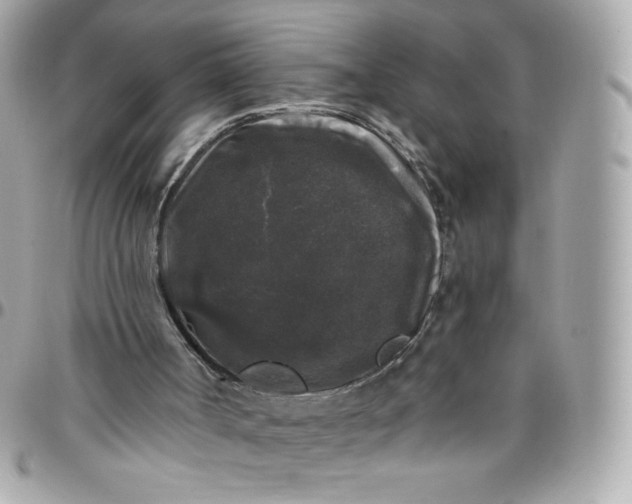 X0000097790002200803211831