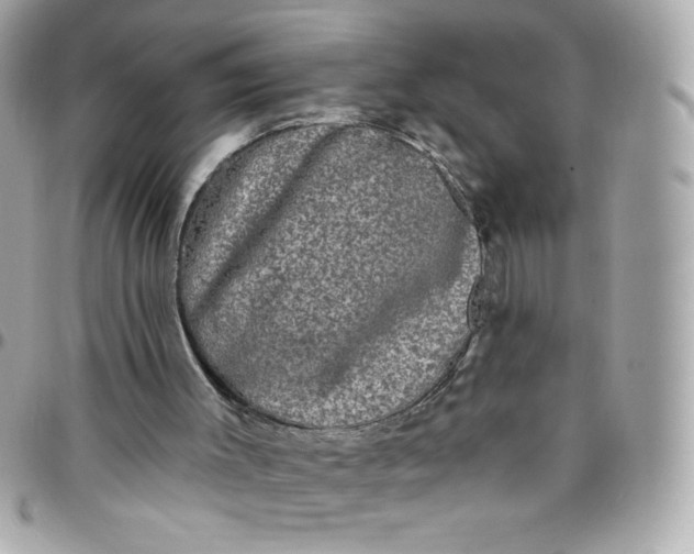 X0000097790003200803211831