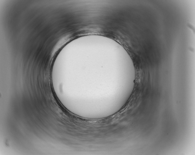 X0000097790004200803211831