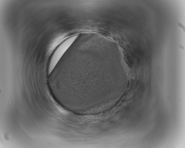 X0000097790005200803211831
