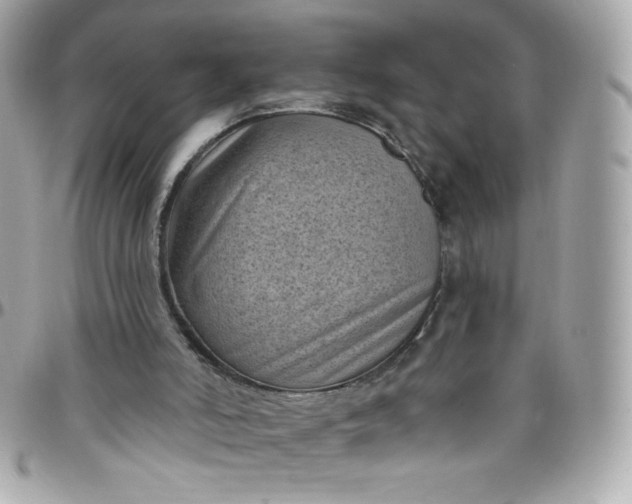 X0000097790006200803211831