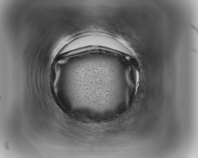 X0000097790007200803211831
