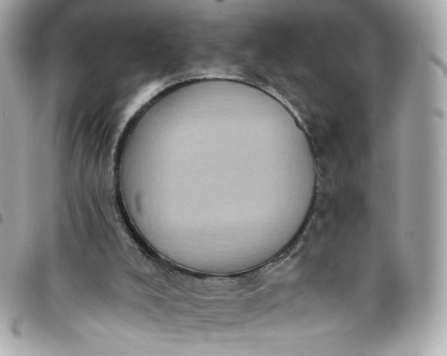 X0000097790008200803211831
