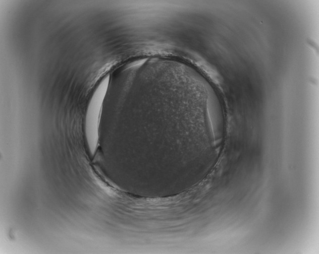 X0000097790009200803211831