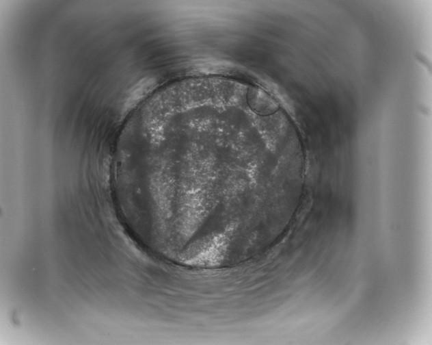 X0000097790010200803211831