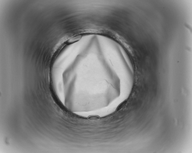 X0000097790011200803211831