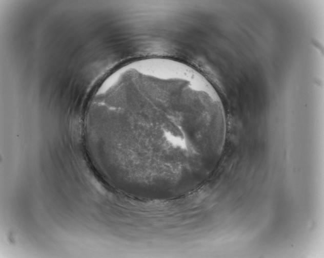 X0000097790012200803211831