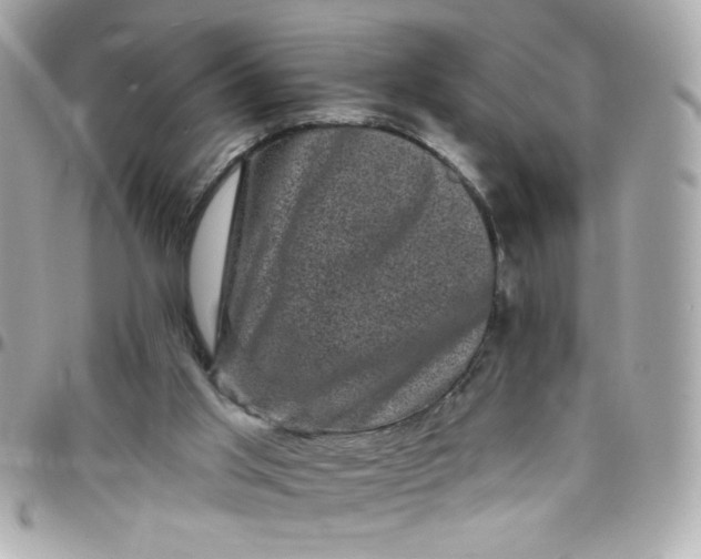 X0000097790013200803211831