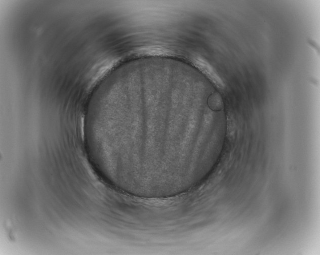 X0000097790014200803211831