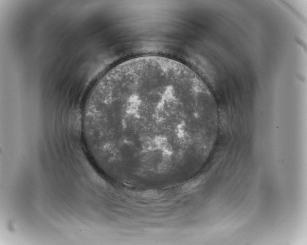 X0000097790016200803211831